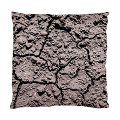 Earth  Dark Soil With Cracks Standard Cushion Case (two Sides) by FunnyCow