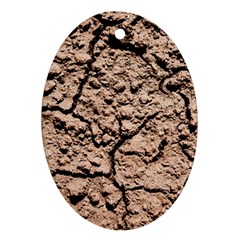Earth  Light Brown Wet Soil Oval Ornament (two Sides) by FunnyCow