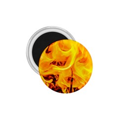 Fire And Flames 1 75  Magnets by FunnyCow