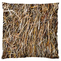 Dry Hay Texture Large Flano Cushion Case (one Side) by FunnyCow