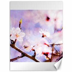 Pink Sakura Purple Background Canvas 36  x 48  