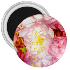 Pink Flowering Almond Flowers 3  Magnets by FunnyCow