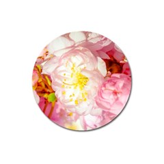 Pink Flowering Almond Flowers Magnet 3  (round) by FunnyCow