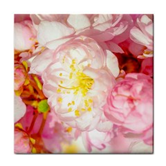 Pink Flowering Almond Flowers Face Towel by FunnyCow