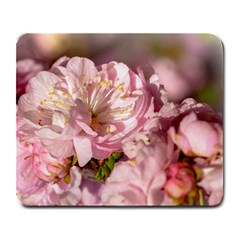 Beautiful Flowering Almond Large Mousepads by FunnyCow
