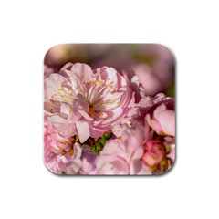 Beautiful Flowering Almond Rubber Square Coaster (4 Pack)  by FunnyCow