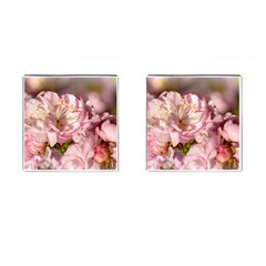 Beautiful Flowering Almond Cufflinks (square) by FunnyCow