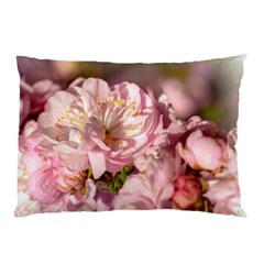 Beautiful Flowering Almond Pillow Case by FunnyCow