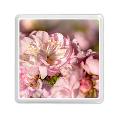 Beautiful Flowering Almond Memory Card Reader (square) by FunnyCow