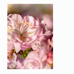 Beautiful Flowering Almond Large Garden Flag (two Sides) by FunnyCow