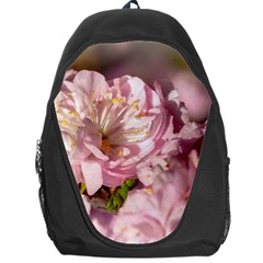 Beautiful Flowering Almond Backpack Bag by FunnyCow