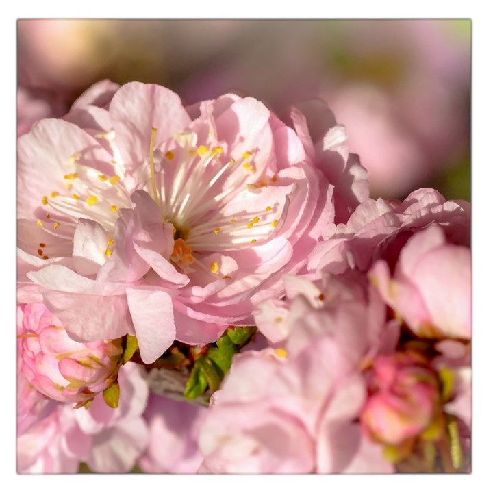 Beautiful Flowering Almond Large Satin Scarf (Square)