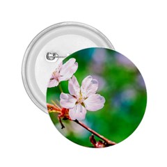 Sakura Flowers On Green 2 25  Buttons by FunnyCow