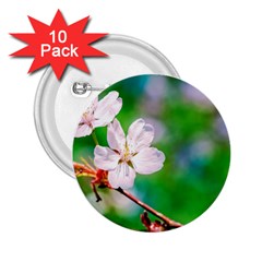 Sakura Flowers On Green 2 25  Buttons (10 Pack)  by FunnyCow