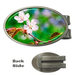 Sakura Flowers On Green Money Clips (oval)  by FunnyCow