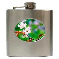 Sakura Flowers On Green Hip Flask (6 Oz) by FunnyCow