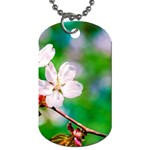 Sakura Flowers On Green Dog Tag (Two Sides) Front