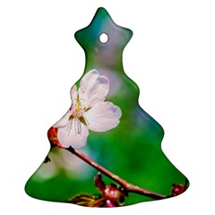 Sakura Flowers On Green Ornament (christmas Tree)  by FunnyCow