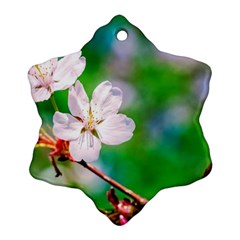 Sakura Flowers On Green Snowflake Ornament (two Sides) by FunnyCow