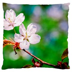 Sakura Flowers On Green Large Cushion Case (two Sides)