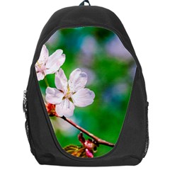 Sakura Flowers On Green Backpack Bag by FunnyCow