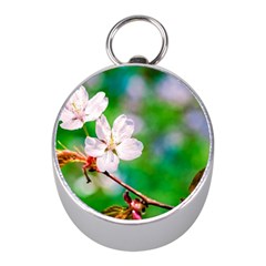 Sakura Flowers On Green Mini Silver Compasses by FunnyCow