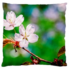 Sakura Flowers On Green Standard Flano Cushion Case (two Sides) by FunnyCow