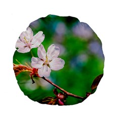 Sakura Flowers On Green Standard 15  Premium Flano Round Cushions by FunnyCow