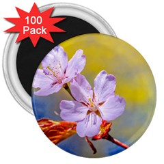 Sakura Flowers On Yellow 3  Magnets (100 Pack) by FunnyCow