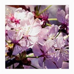 Sakura In The Shade Medium Glasses Cloth (2-side) by FunnyCow