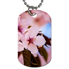 Three Sakura Flowers Dog Tag (one Side) by FunnyCow