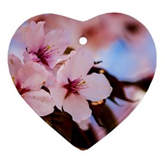 Three Sakura Flowers Heart Ornament (two Sides) by FunnyCow