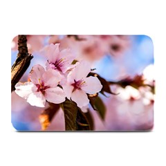 Three Sakura Flowers Plate Mats by FunnyCow