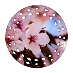 Three Sakura Flowers Round Filigree Ornament (two Sides) by FunnyCow