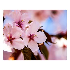 Three Sakura Flowers Double Sided Flano Blanket (large)  by FunnyCow