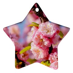 Flowering Almond Flowersg Ornament (star) by FunnyCow