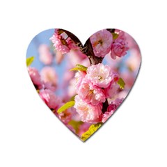 Flowering Almond Flowersg Heart Magnet by FunnyCow