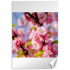 Flowering Almond Flowersg Canvas 12  X 18   by FunnyCow