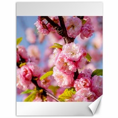 Flowering Almond Flowersg Canvas 36  X 48   by FunnyCow