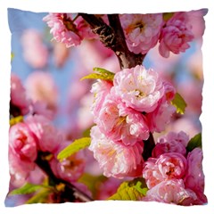 Flowering Almond Flowersg Large Cushion Case (two Sides) by FunnyCow