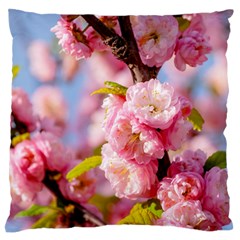 Flowering Almond Flowersg Standard Flano Cushion Case (two Sides) by FunnyCow