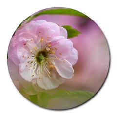 Single Almond Flower Round Mousepads by FunnyCow