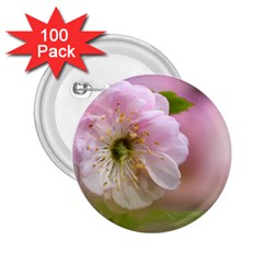 Single Almond Flower 2 25  Buttons (100 Pack)  by FunnyCow