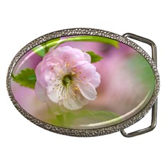 Single Almond Flower Belt Buckles by FunnyCow