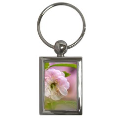 Single Almond Flower Key Chains (rectangle)  by FunnyCow