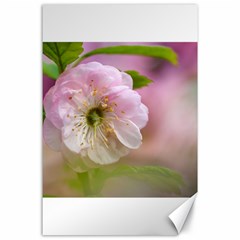 Single Almond Flower Canvas 24  X 36  by FunnyCow