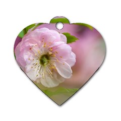 Single Almond Flower Dog Tag Heart (one Side) by FunnyCow