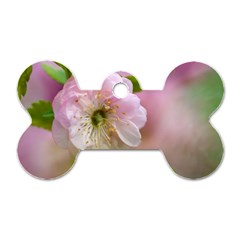 Single Almond Flower Dog Tag Bone (two Sides) by FunnyCow