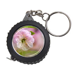 Single Almond Flower Measuring Tape by FunnyCow