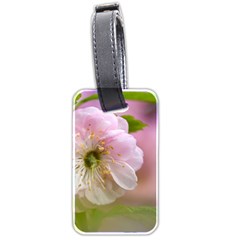 Single Almond Flower Luggage Tags (two Sides) by FunnyCow